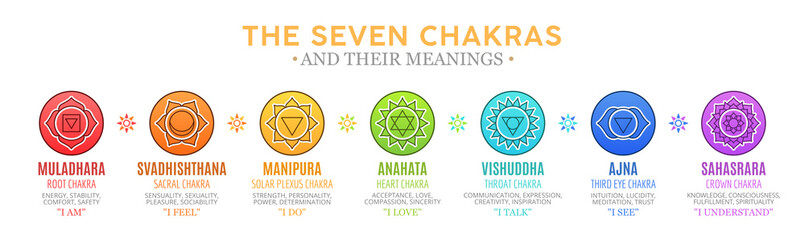 seven chakras
